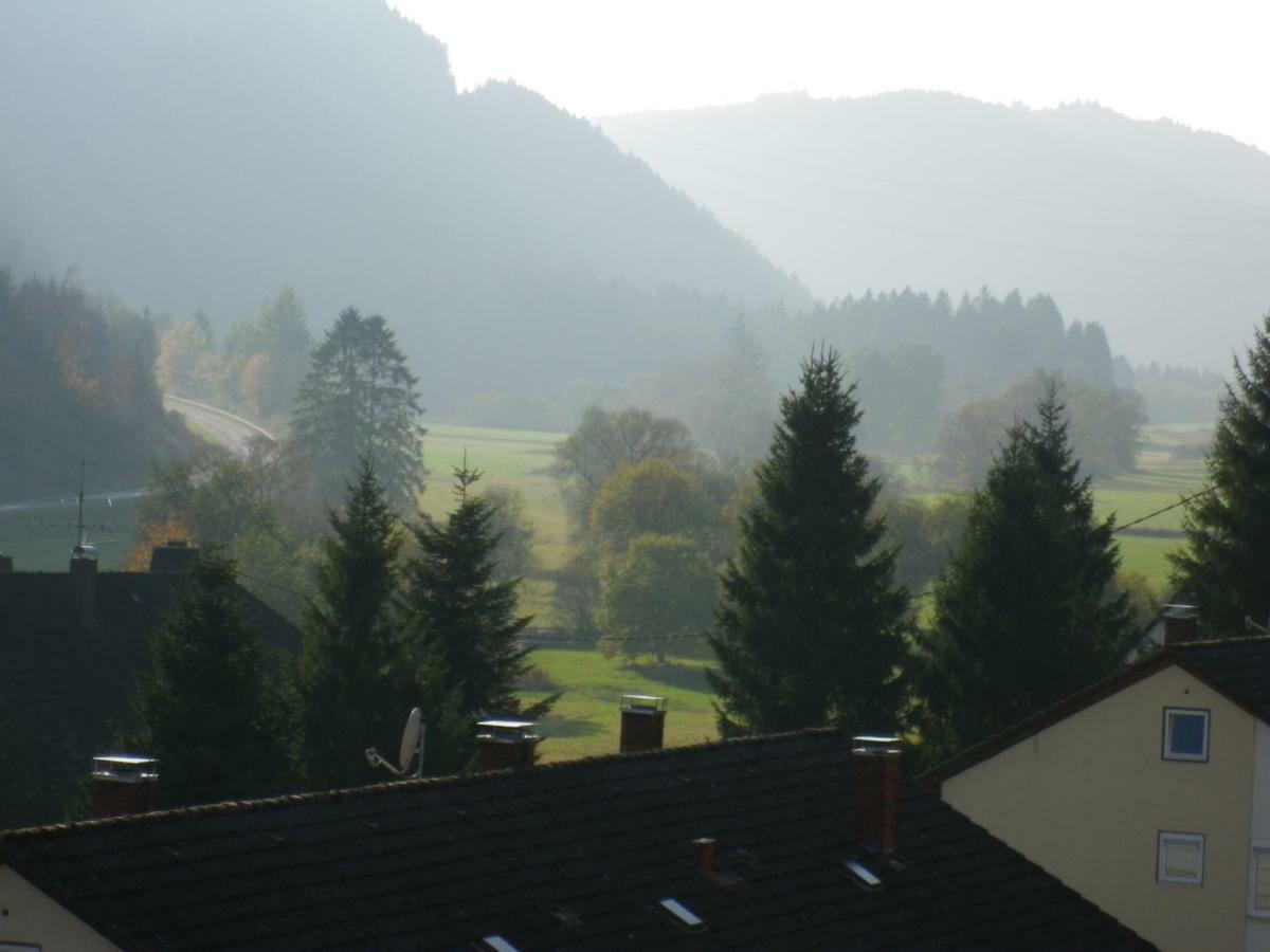 Appartement Urseetalblick Wg 7 à Lenzkirch Extérieur photo