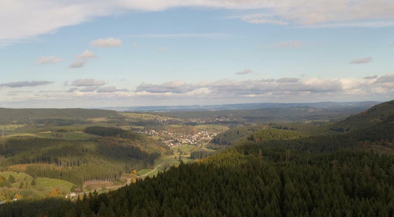 Appartement Urseetalblick Wg 7 à Lenzkirch Extérieur photo